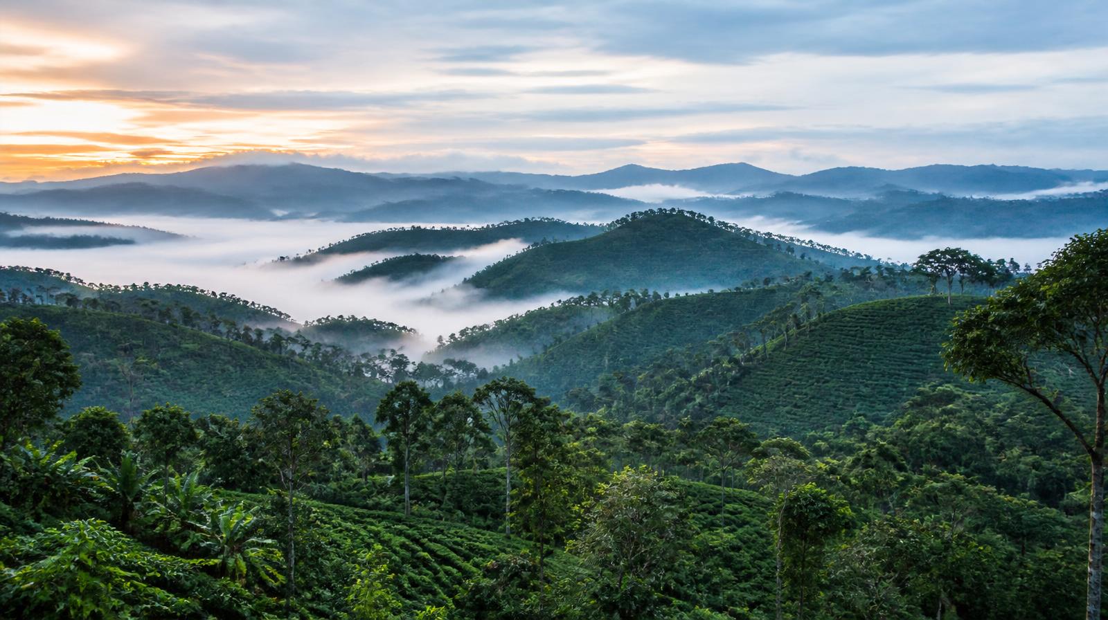Coorg
