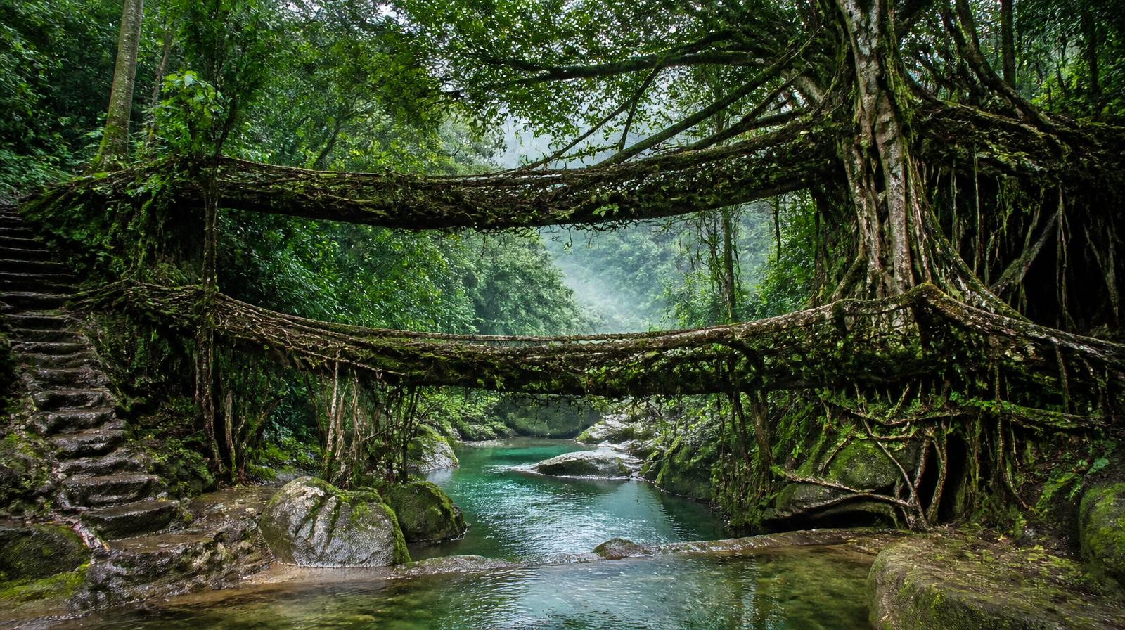 Meghalaya